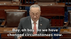 How The Turntables Chuck Schumer GIF