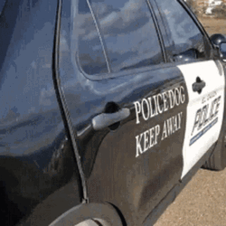 Howdy Police Dog With Hat GIF