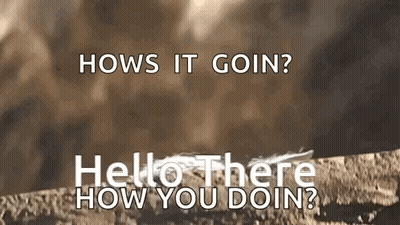 Hows It Goin Hello How You Doin Brown GIF