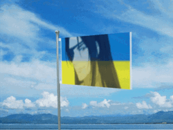Hua Cheng On The Flag Of Ukraine GIF