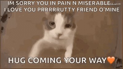 Hug Love GIF