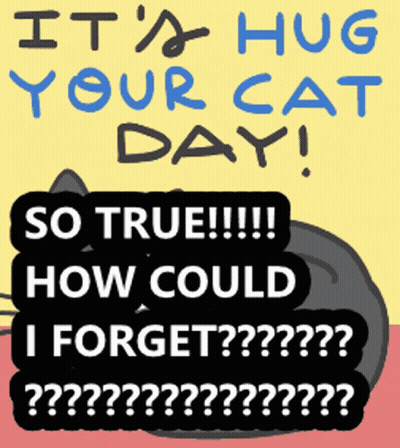 Hug Your Cat Day Poster GIF