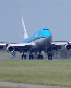 Huge Blue Airplane Landed GIF