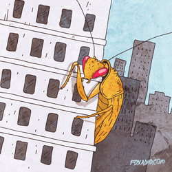 Huge Cockroach Cartoon  GIF