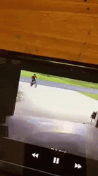 Hugging Dog CCTV Footage GIF