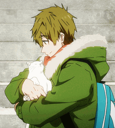 Hugging White Cat Anime GIF