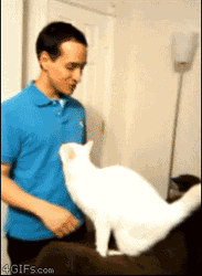 Hugging White Cat GIF
