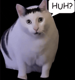 Huh Huh Cat Meme GIF