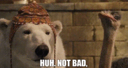 Huh Not Bad Dog And Ostrich GIF