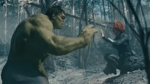 Hulk And Black Widow Are Fighting In A Forest . GIF