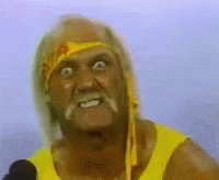 Hulk Hogan Brother Crazy Wild Eyes GIF