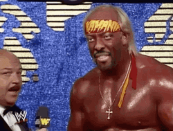 Hulk Hogan Brother Funny Face App GIF