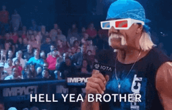 Hulk Hogan Hell Ya Brother Meme GIF