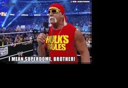 Hulk Hogan I Mean Superdome Brother GIF