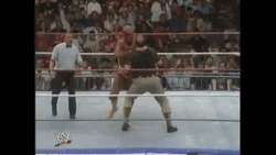 Hulk Hogan Jumps On The Man GIF