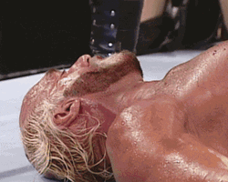 Hulk Hogan Knocked Out GIF