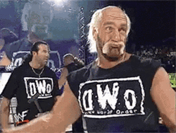 Hulk Hogan NWO Brother Mockery GIF