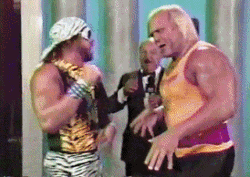 Hulk Hogan Randy Savage Hand Shake GIF