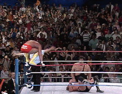 Hulk Hogan Rolling GIF