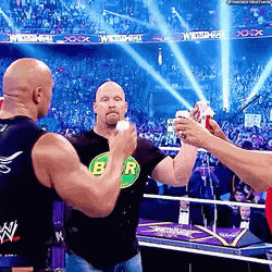 Hulk Hogan Stone Cold Beer Cheers GIF