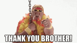Hulk Hogan Thank You Brother GIF