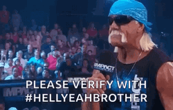 Hulk Hogan Verify With Brother Meme GIF