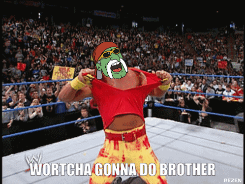 Hulk Hogan Wrestling Ring Wortcha Gonna Do Brother GIF