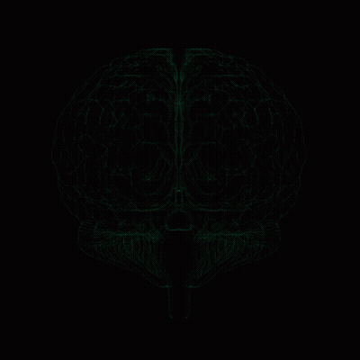 Human Brain With Green Lines On Black Background GIF