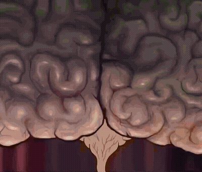 Human Brain With Swirling Pattern GIF