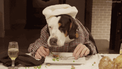 Human Dog With Butter GIF