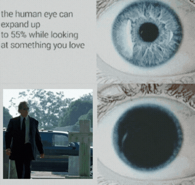 Human Eye Expands When Seeing Loved One GIF