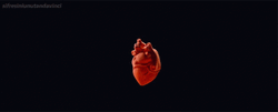 Human Heart Pulsating With Intense Bomb Explosion GIF
