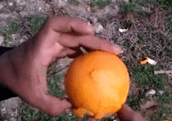Human Shaped Orange Peel GIF