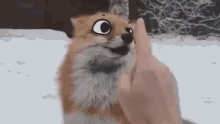 Human Touching Cute Fox With Cartoon Eyes