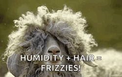 Humidity Plus Hair Equals Frizzies GIF