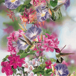 Hummingbird Animation With Beautiful Flowers GIF