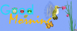 Hummingbird Good Morning GIF