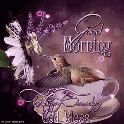 Hummingbird On Coffee Cup Good Morning Happy Tuesday God Bless GIF