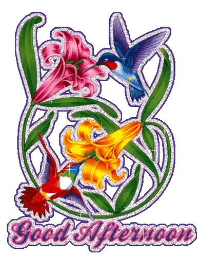 Hummingbirds And Flowers Good Afternoon Sticker