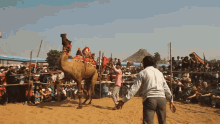 Hump Day Camel Goofy Playing GIF
