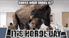 Hump Day Camel It's Horde Day Yeah GIF