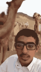 Hump Day Camel Poor Indian Guy GIF