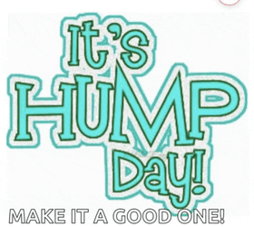 Hump Day Gif Funny Meme GIF