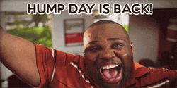 Hump Day It's Hilarious Wednesday GIF