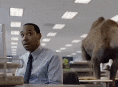 Hump Day Like Camel In The Office GIF
