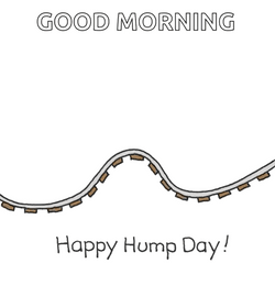 Hump Day Wednesday Bunny Riding On Rollercoaster GIF