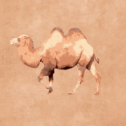 Hump Day Wednesday Camel Portrait GIF