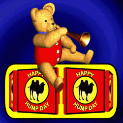 Hump Day Wednesday Teddy Bear Playing Trumpet GIF