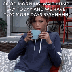 Hump Day Wednesday Zendaya Wondering Reaction GIF