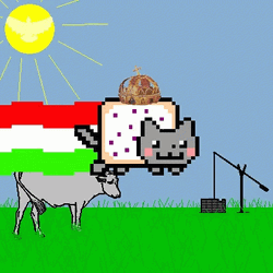 Hungary Crown Nyan Cat